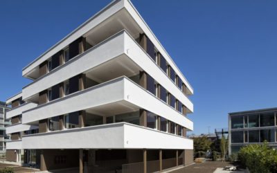 A Glance into the Distance