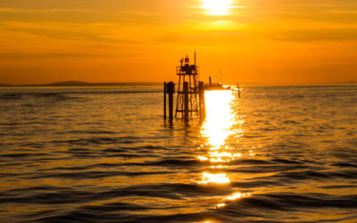 Besuch der Bregenzer Festspiele