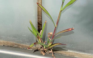 GLASGELÄNDER! ABER WIE?